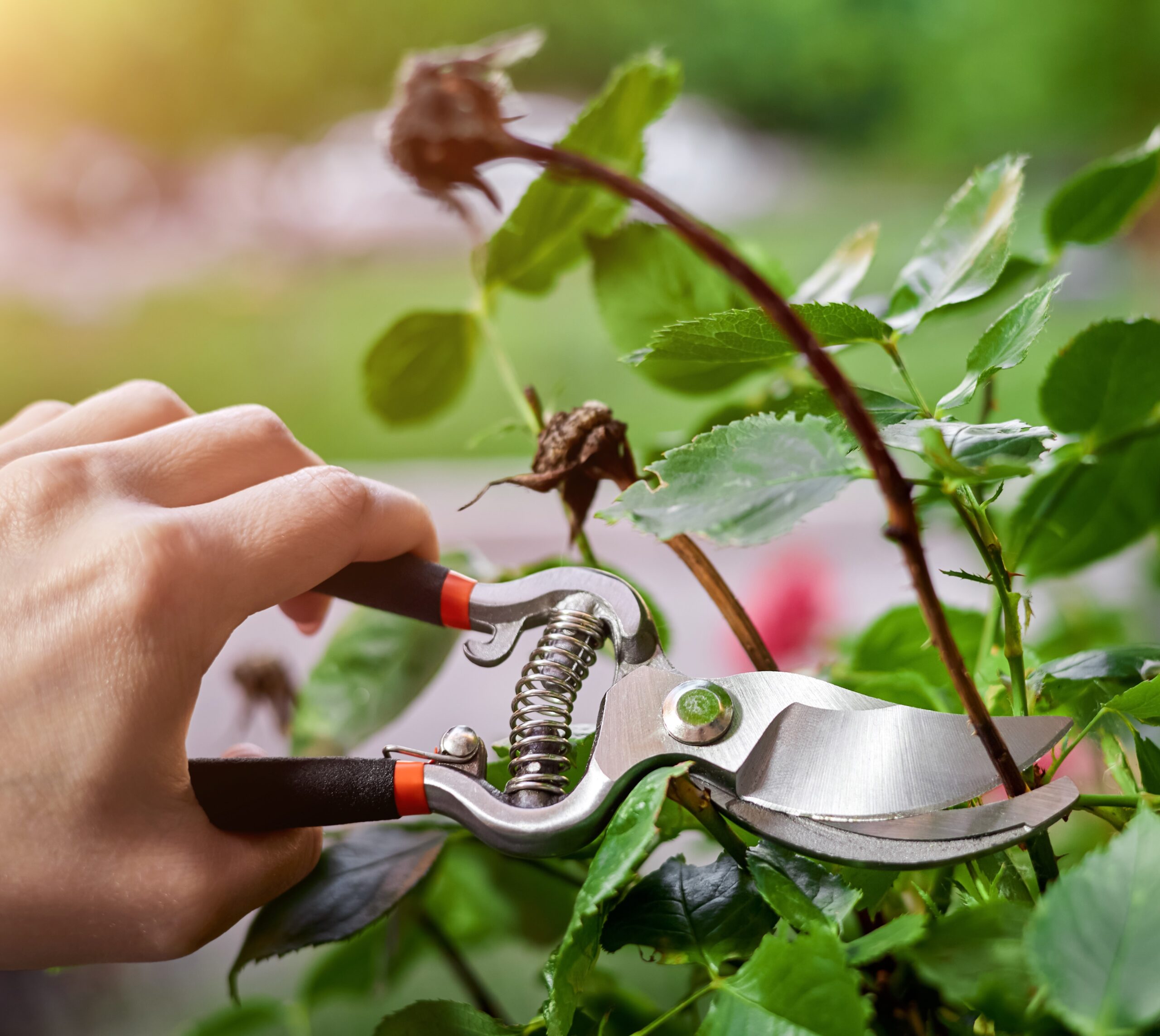 وكيل وزارة التعليم للجامعات والبحث والابتكار يلتقي الرئيس التنفيذي لشركة سابك لتعزيز التعاون المشترك.